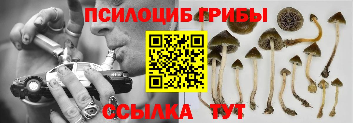 Псилоцибиновые грибы Cubensis  Псилоцибиновые грибы Magic Shrooms  Вход с VPN  Избербаш 