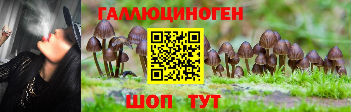 Псилоцибиновые грибы ЛСД Избербаш